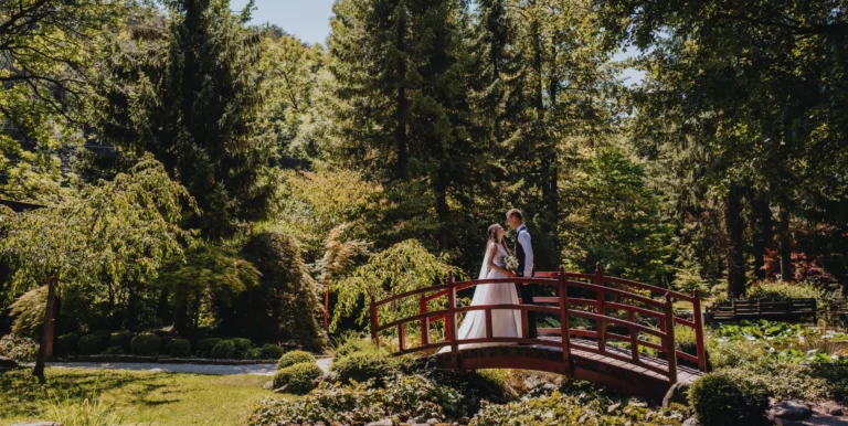 organizacija poroke v Mozirskem gaju